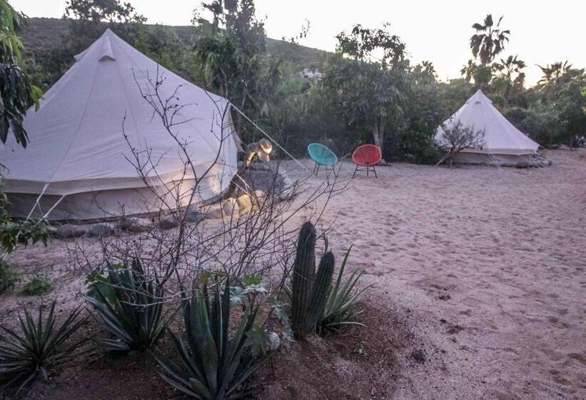 Todos Santos Hostel Super Fast And Stable Satellite Wifi