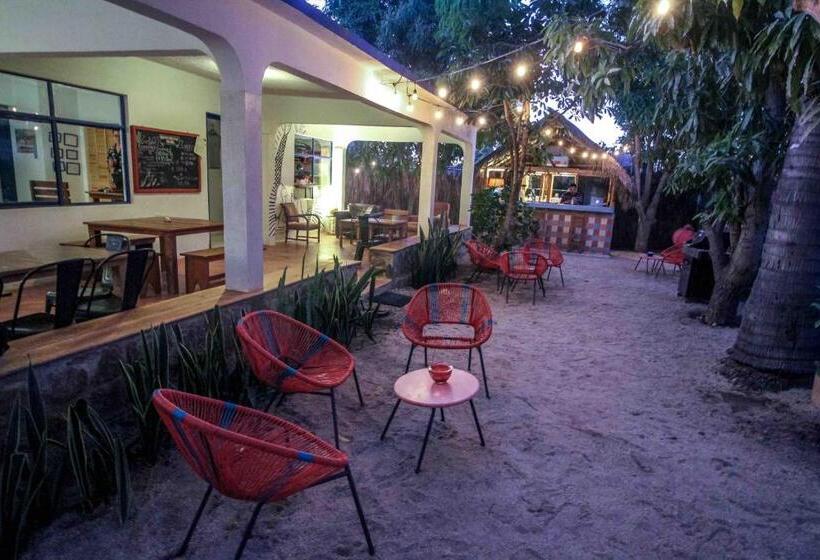 Todos Santos Hostel Super Fast And Stable Satellite Wifi