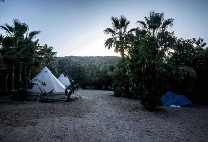 Todos Santos Hostel Super Fast And Stable Satellite Wifi