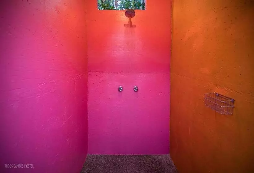 Todos Santos Hostel Super Fast And Stable Satellite Wifi