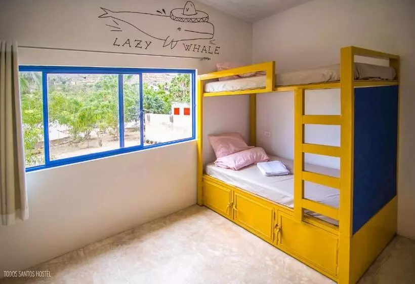 Todos Santos Hostel Super Fast And Stable Satellite Wifi