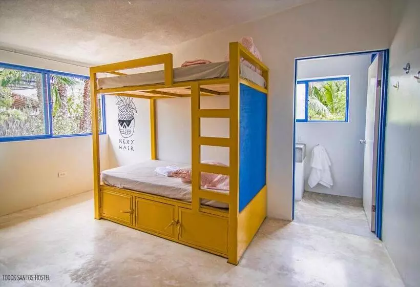 Todos Santos Hostel Super Fast And Stable Satellite Wifi