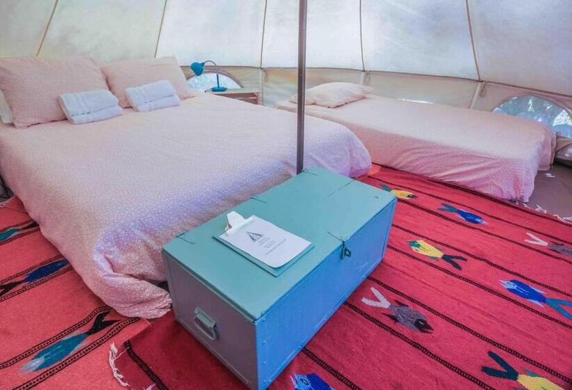 Todos Santos Hostel Super Fast And Stable Satellite Wifi