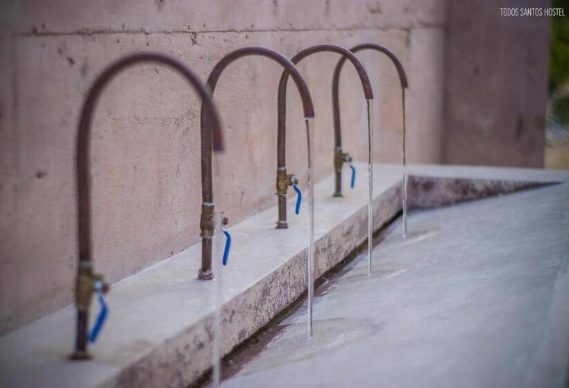 Todos Santos Hostel Super Fast And Stable Satellite Wifi