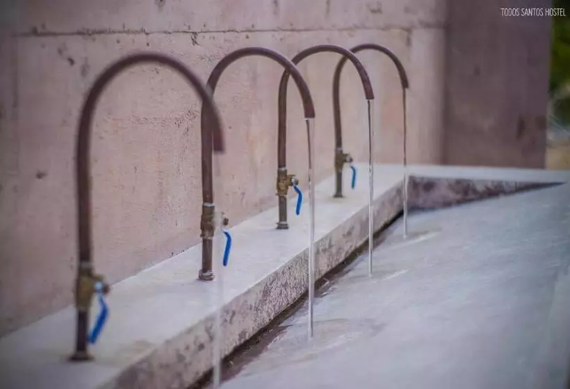 Todos Santos Hostel Super Fast And Stable Satellite Wifi