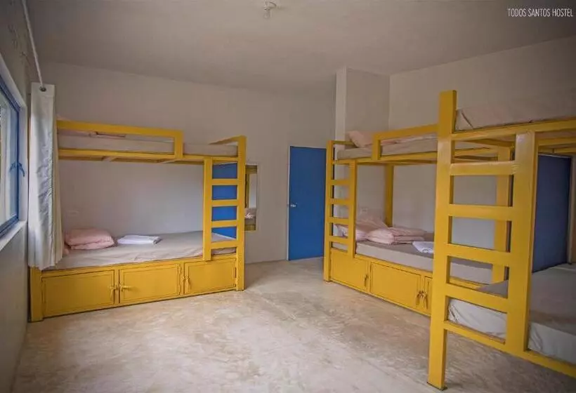 Todos Santos Hostel Super Fast And Stable Satellite Wifi