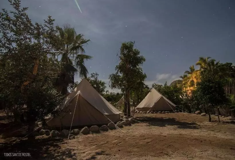 Todos Santos Hostel Super Fast And Stable Satellite Wifi