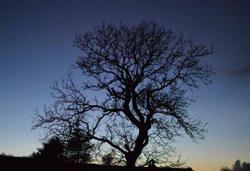 Air Leth Bed & Breakfast