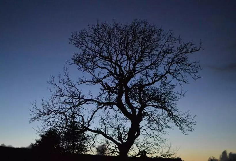 Air Leth Bed & Breakfast