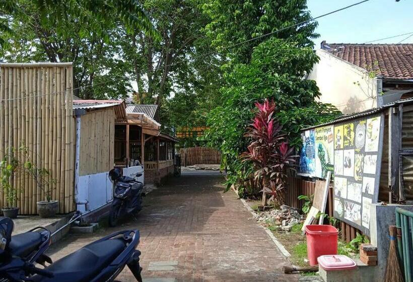 هاستل Backpacker Kawah Ijen