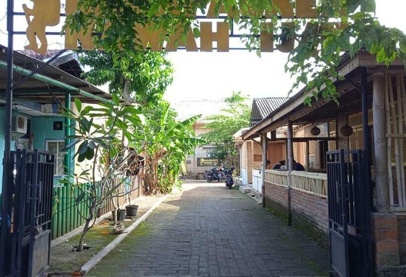 هاستل Backpacker Kawah Ijen