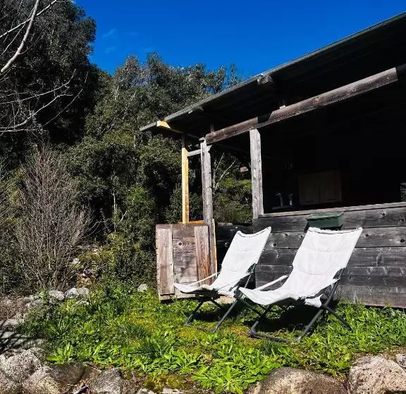 ホテル Cabane
