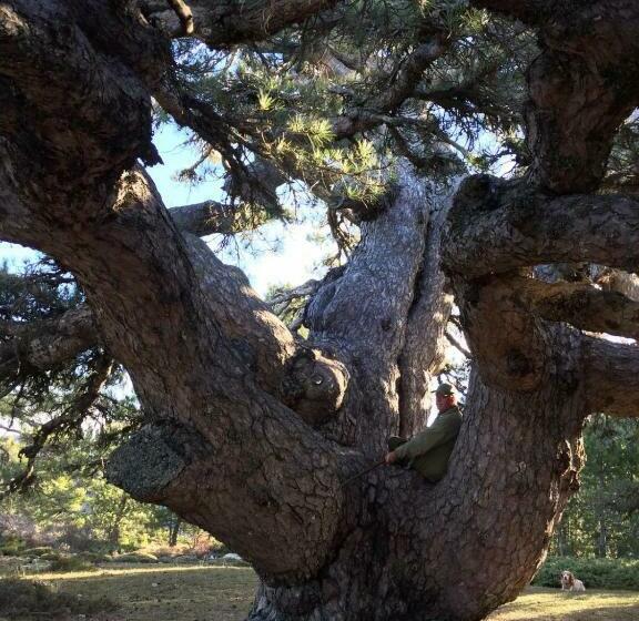 Отель Fuente Del Ciervo 1