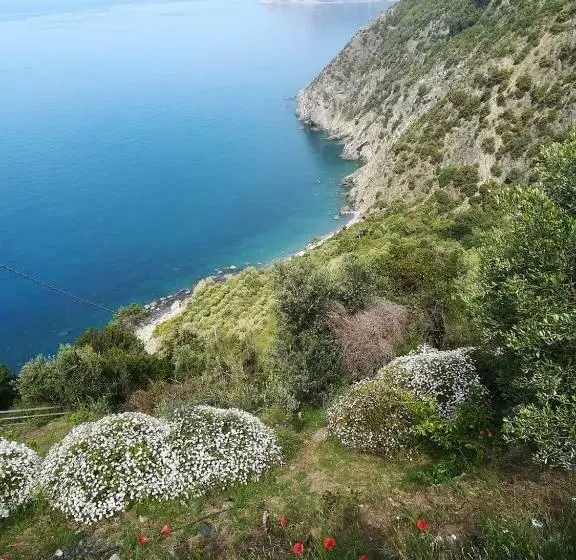 Majatalo La Ginestra