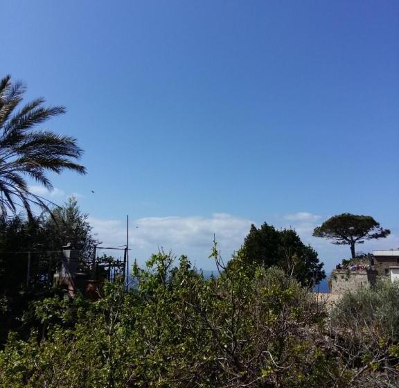 بنسيون La Ginestra