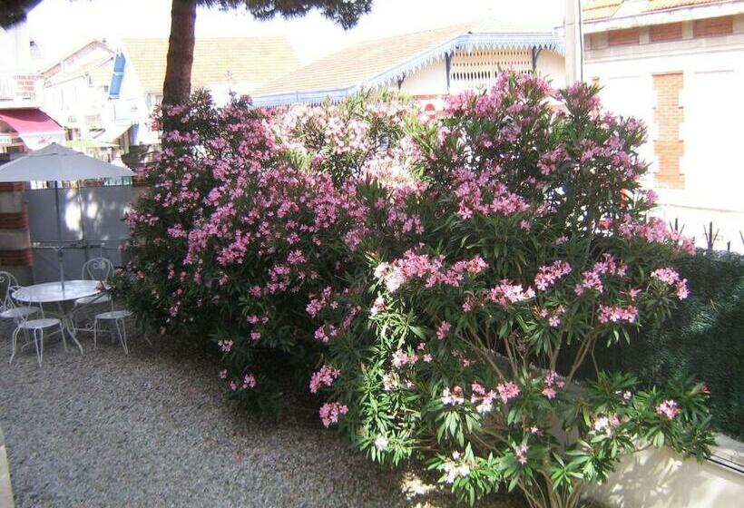 Пансион Villa Le Cid