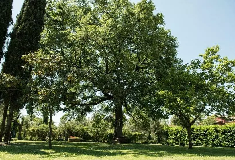 B&b Le Cinque Querce