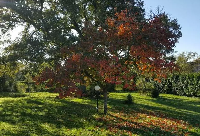 B&b Le Cinque Querce
