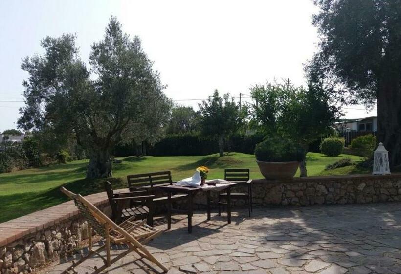 مبيت وإفطار Crisam