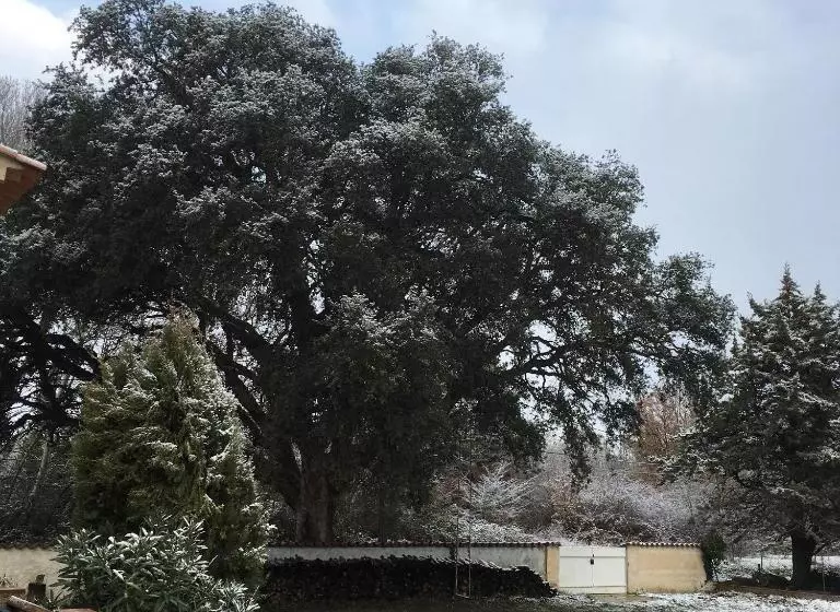 ベッドアンドブレックファースト Le Chêne Et L Eau