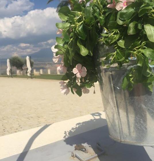 ホテル Borgo Ginuga