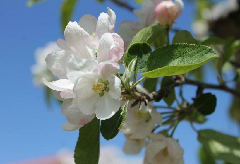 ホテル Casa Do Batista