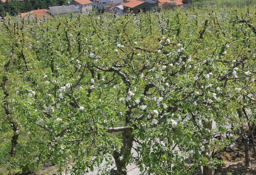 ホテル Casa Do Batista