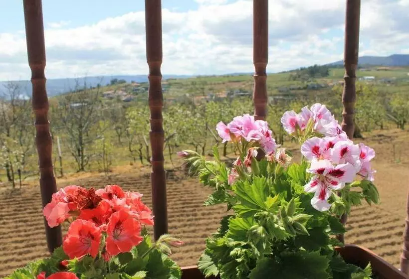 ホテル Casa Do Batista