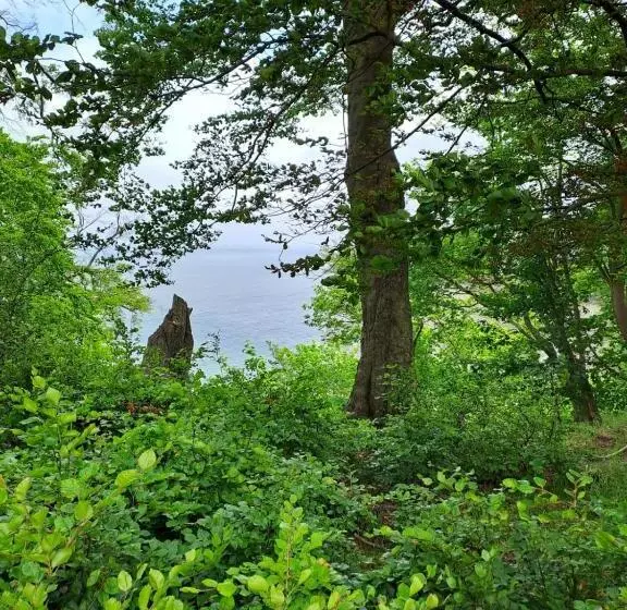 Hotelli Gästehaus Windflüchter