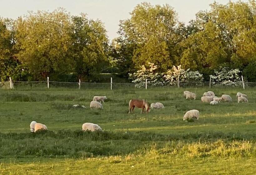 فندق Gästehaus Windflüchter
