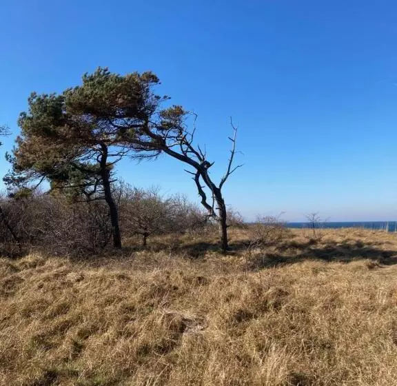 Hotelli Gästehaus Windflüchter