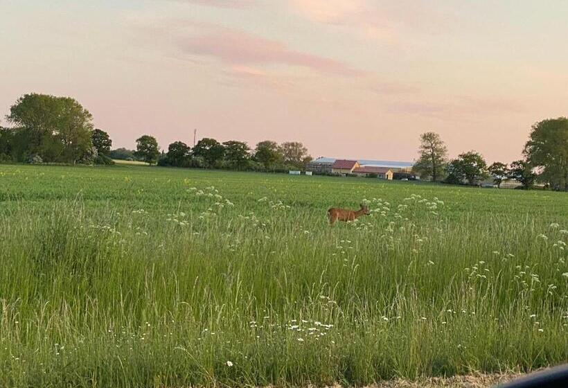 فندق Gästehaus Windflüchter