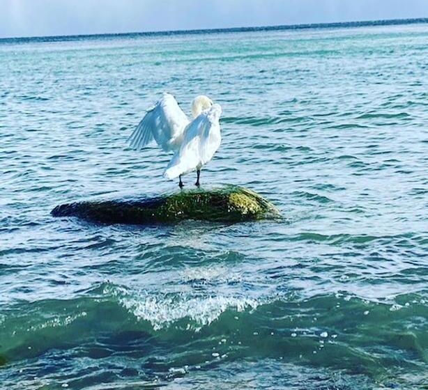 فندق Gästehaus Windflüchter
