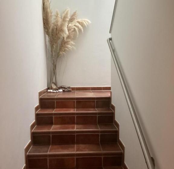 فندق Gästehaus Windflüchter