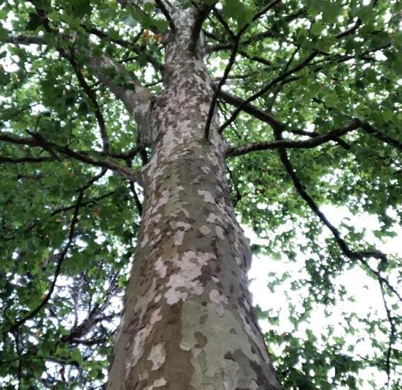 بنسيون Au Rez De Jardin