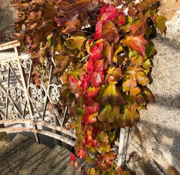 بنسيون Au Rez De Jardin