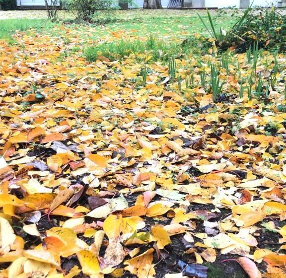 بنسيون Au Rez De Jardin