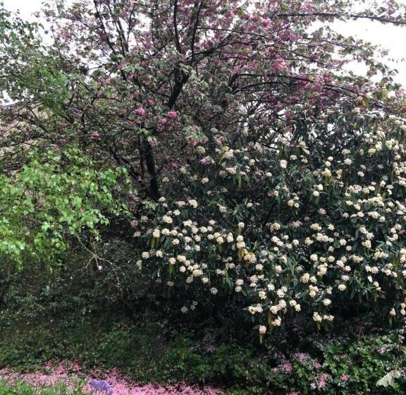 بنسيون Au Rez De Jardin