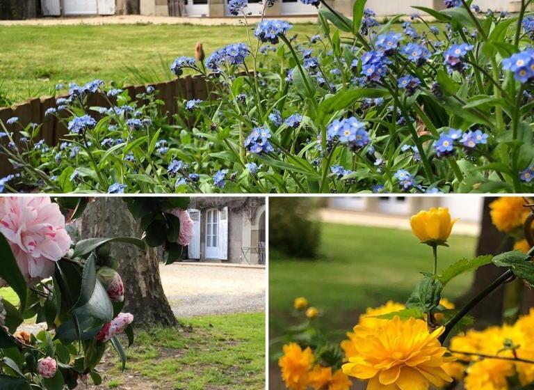 بنسيون Au Rez De Jardin