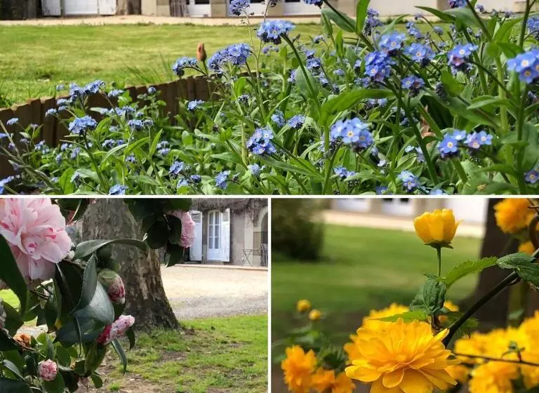 ペンション Au Rez De Jardin