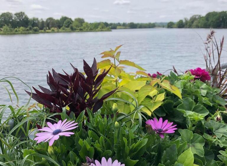 بنسيون Au Rez De Jardin