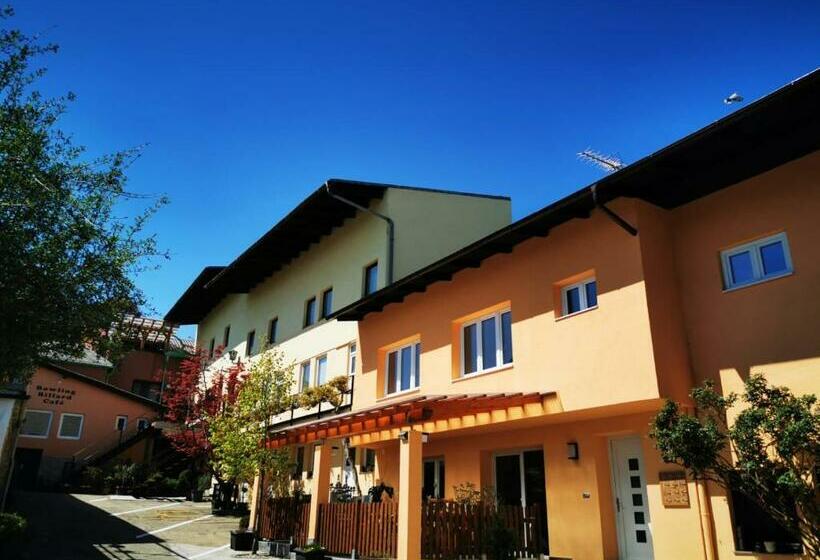 膳宿费 Goldene Krone