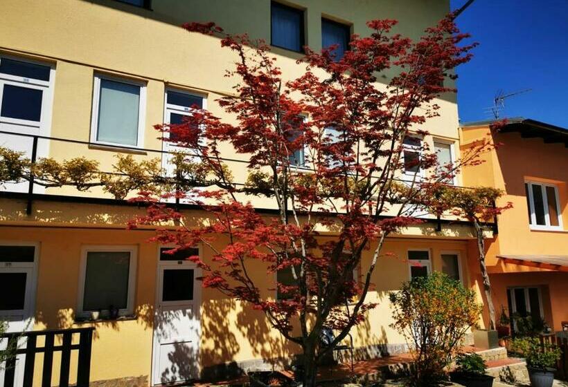 膳宿费 Goldene Krone