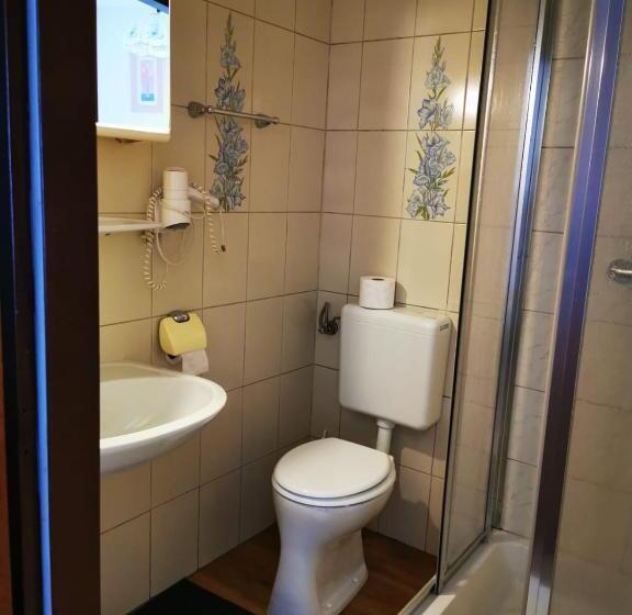 膳宿费 Goldene Krone