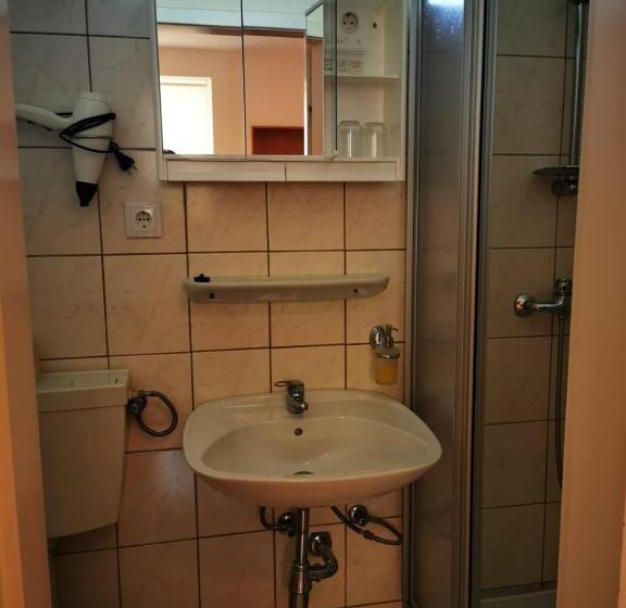 膳宿费 Goldene Krone