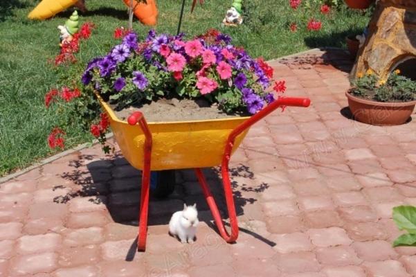 ペンション Onalisa