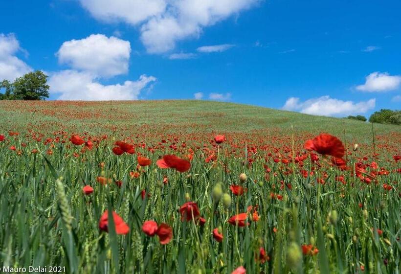 B&b Corte Delle Rose