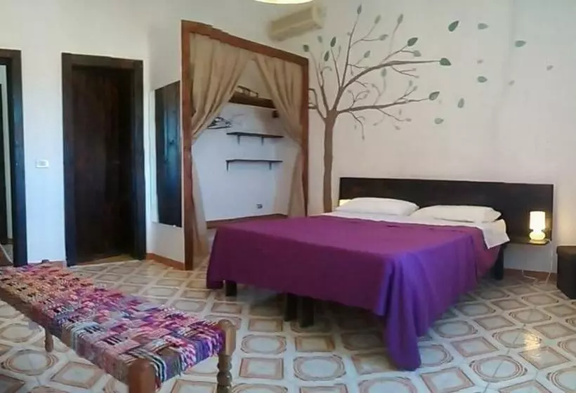 ベッドアンドブレックファースト Bolinajazz