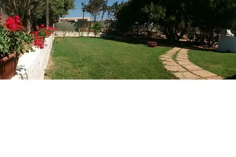 ベッドアンドブレックファースト Bolinajazz