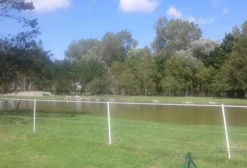 ベッドアンドブレックファースト Les Portes Des Froises